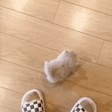 a cat is standing next to a wicker basket on the floor