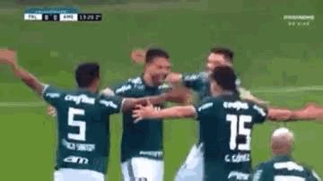 a group of soccer players are hugging on a field .