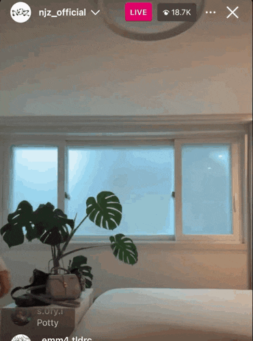 a room with a plant in front of a window and a live button in the corner