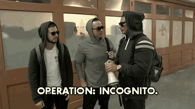 Operation Incognito Lets Do This GIF - Operation Incognito Lets Do This Undercover GIFs