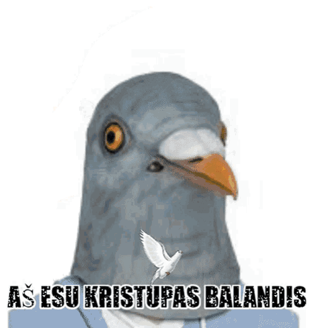 Kristupas Balandis Lithuania GIF - Kristupas Balandis Lithuania Lietuva GIFs