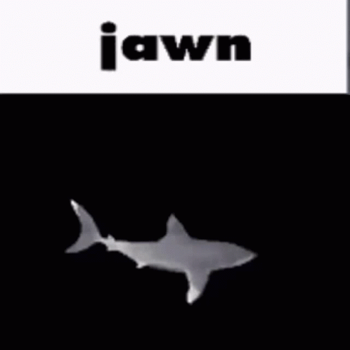 Jawn Shark GIF - Jawn Shark GIFs