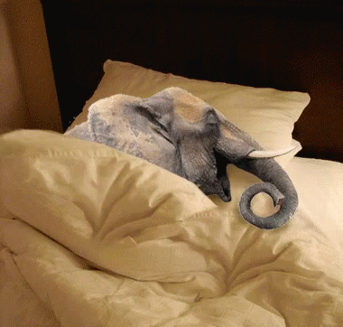 Goodnight Snore GIF - Goodnight Snore Alseep GIFs