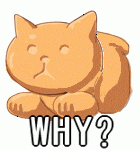 a cat is laying down with the words why written below it