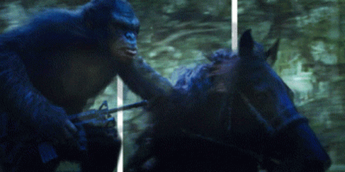 Koba Planet Of The Apes GIF - Koba Planet Of The Apes GIFs
