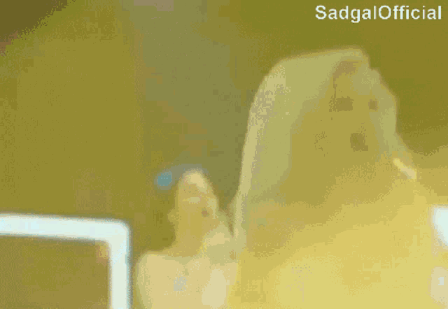 a blurred image of two women standing next to each other on a stage with the words sadgal official in the corner .