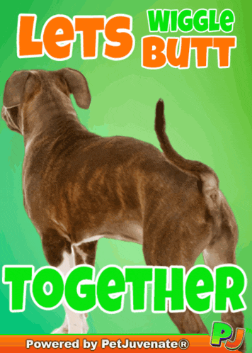 a poster that says lets wiggle butt together on it