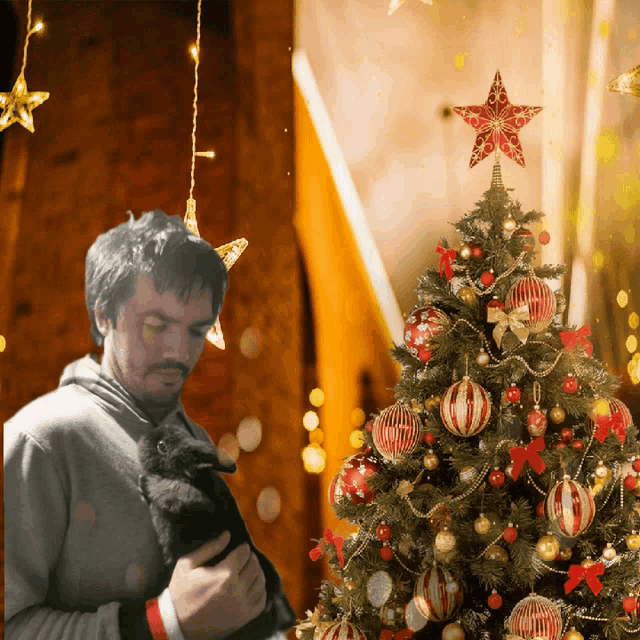 a man is holding a small dog in front of a christmas tree
