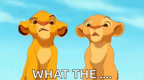 What The Lion King GIF - What The Lion King Simba GIFs