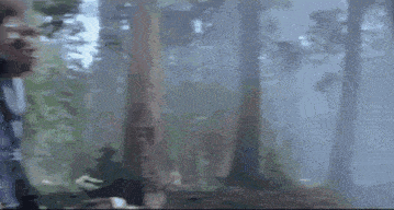 a group of people are dancing together in a dark forest .