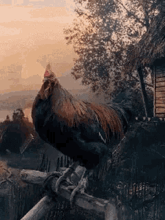 a rooster is perched on a wooden fence post with its beak open