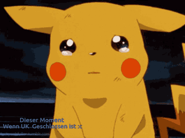 a picture of a pikachu with the words dieser moment wenn uk geschlossen ist