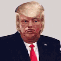 donald trump is wearing a suit and tie .