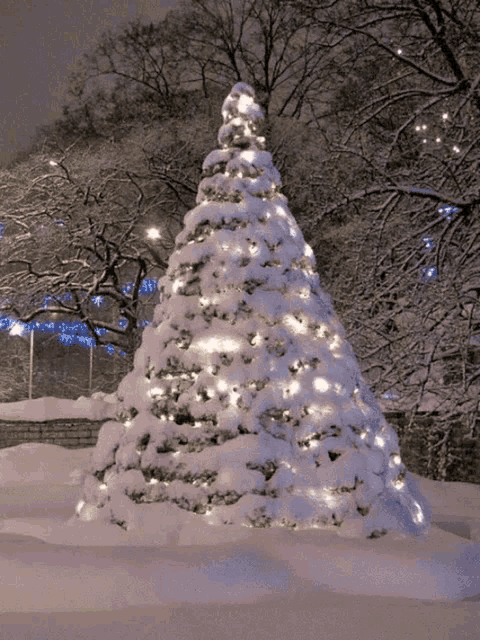 a snowy christmas tree with lights on it