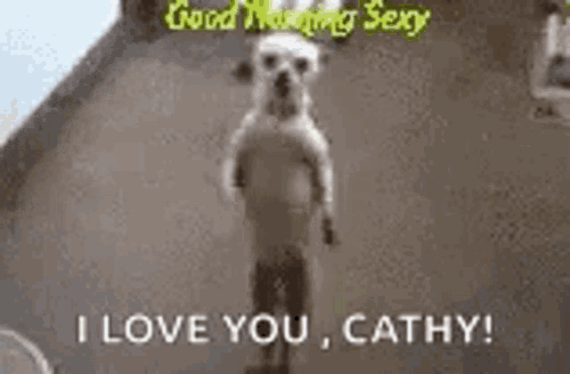 a small dog is standing on its hind legs in a room .