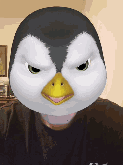 Pingvin Lemac GIF - Pingvin Lemac No GIFs