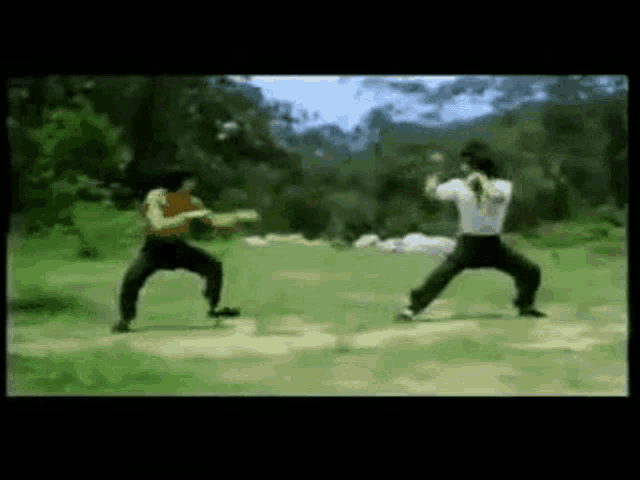 Trailers Bruce Lee GIF - Trailers Bruce Lee Fight GIFs