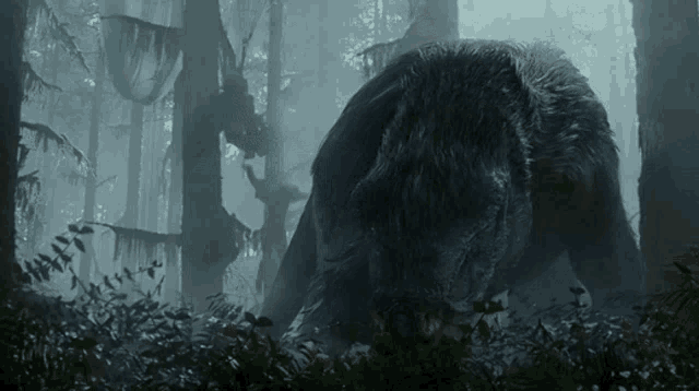 a large bear is walking through a forest