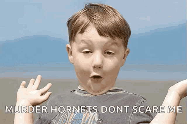 a young boy is making a funny face and says `` murder hornets dont scare me '' .