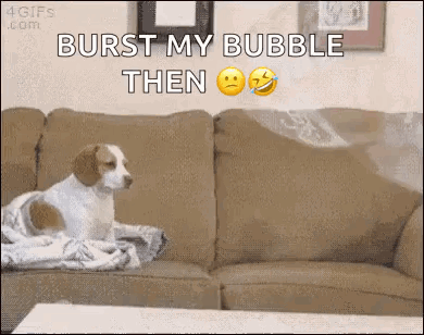 Beagle Dog GIF - Beagle Dog Unimpressed GIFs