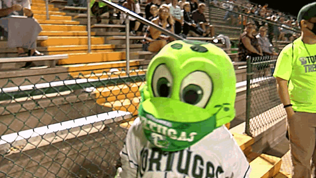 Daytona Tortugas Mascot GIF - Daytona Tortugas Mascot Mascot Dance GIFs