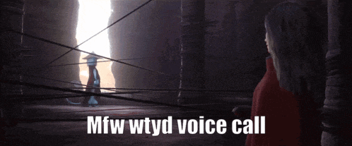 a picture of a cartoon character with the words mfw wtyd voice call