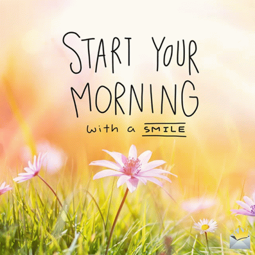 Morning Morning Sunshine GIF - Morning Morning Sunshine Flowers GIFs