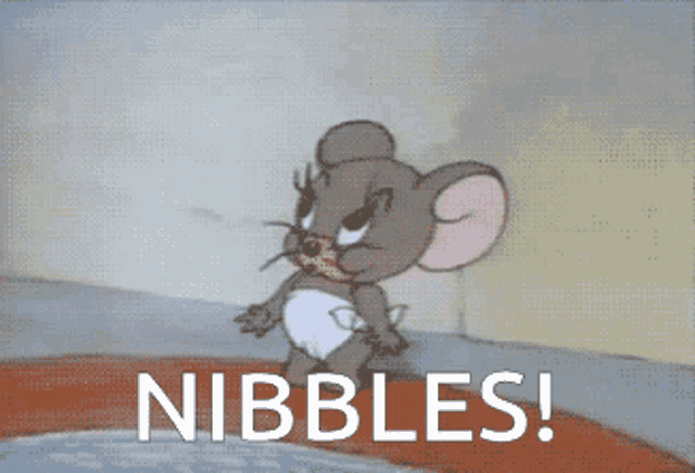 a cartoon of jerry yawning with the words nibbles written below him