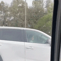 a white car is parked on the side of the road in front of trees