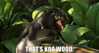 Surfs Up Koa Wood GIF - Surfs Up Koa Wood Thats Koa Wood GIFs