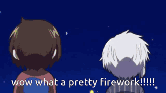 two cartoon characters watching a firework with the words wow what a pretty firework !!!