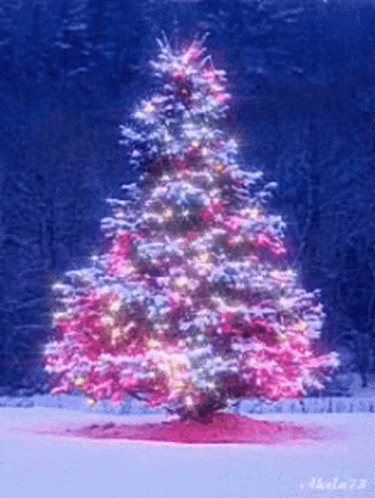 Rotating Beautifully Lit GIF - Rotating Beautifully Lit Christmas Tree GIFs