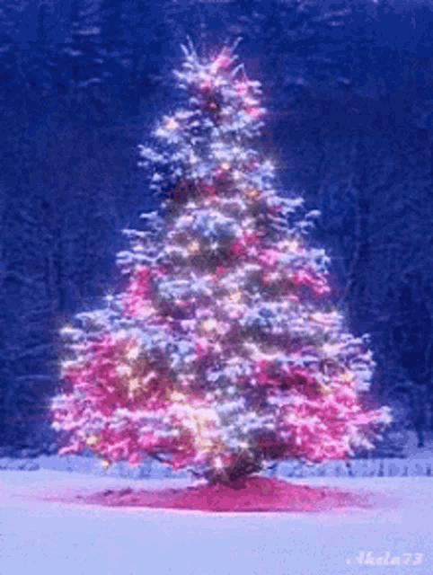 a picture of a christmas tree with pink lights taken by akela73
