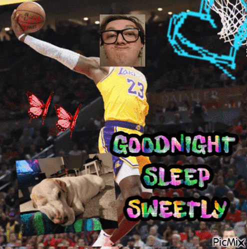 a picture of a basketball player with the words goodnight sleep sweetly below him