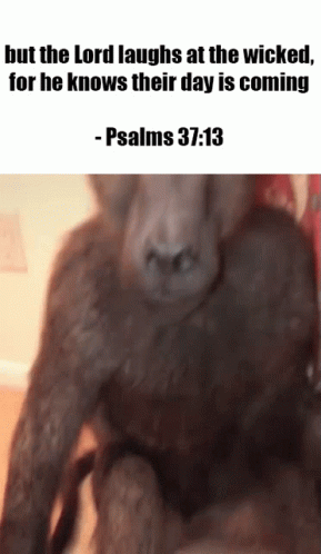 God Psalm GIF - God Psalm Wicked GIFs