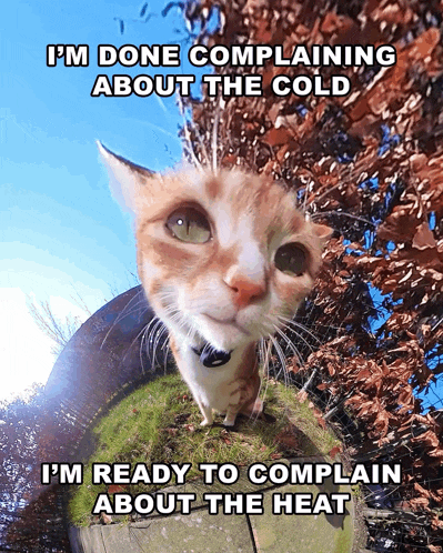 a cat with a caption that says i 'm done complaining about the cold