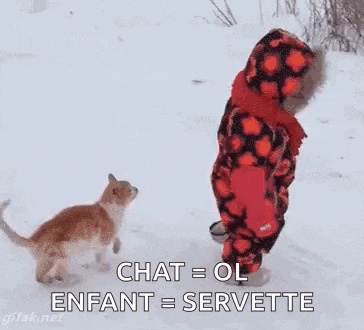 a little girl is walking in the snow next to a cat .