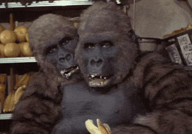 two gorillas are eating bananas in front of a shelf of fruit