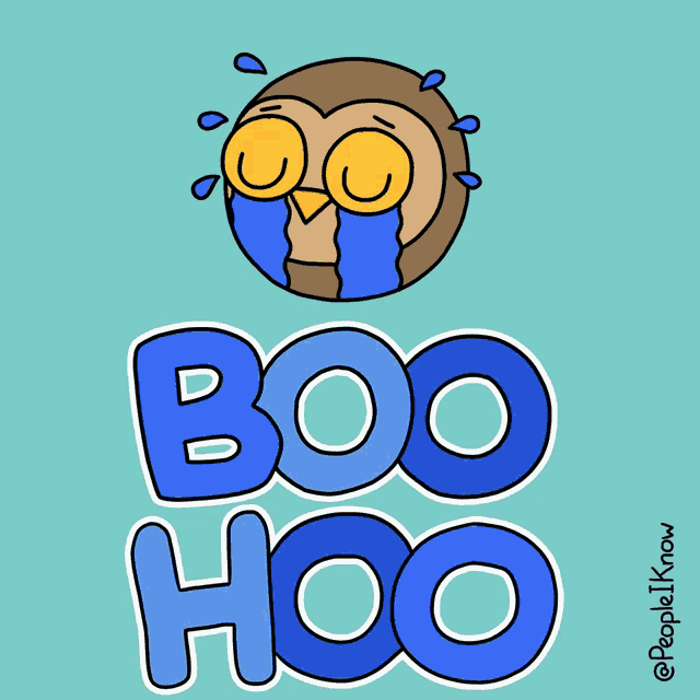 a drawing of an owl crying with the words boo hoo written below it