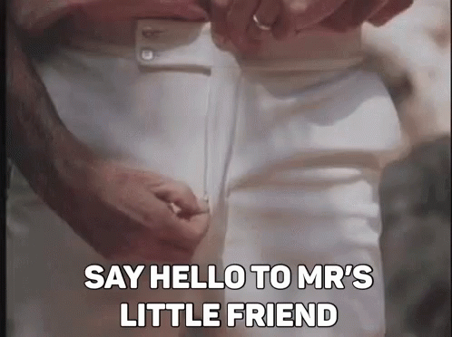 Hello Mr Little Friend GIF - Hello Mr Little Friend Pants GIFs