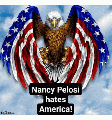 Nancy Pelosi Eagle GIF - Nancy Pelosi Eagle Nancy Pelosi Hates America GIFs