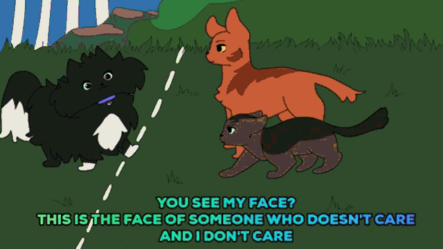 a cartoon of three cats with a caption that says you see my face