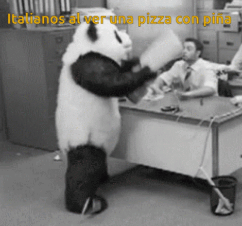 Angry Panda Pablo4678 GIF - Angry Panda Pablo4678 Italianos GIFs