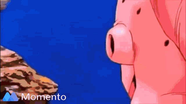 a pink pig is standing in front of a blue background and the word momento is on the bottom right