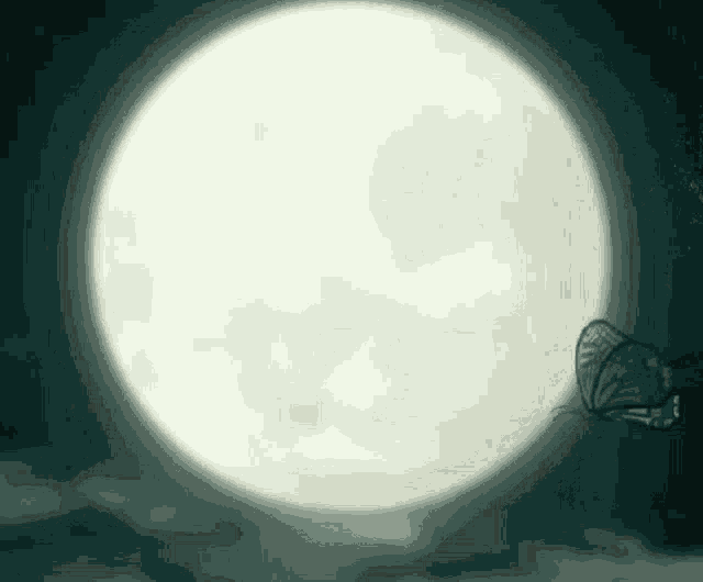 a full moon with a butterfly flying in front of it