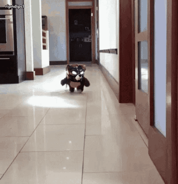 a stuffed animal is walking down a hallway with a caption that says ripndipdl