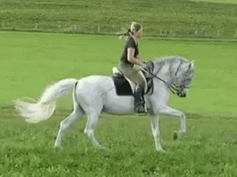 Horse Horseback Riding GIF - Horse Horseback Riding Omw GIFs