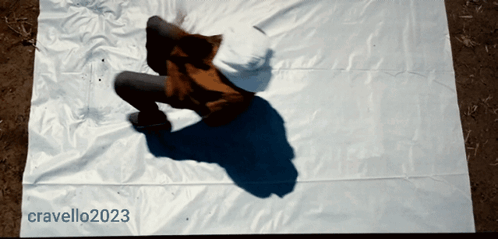 Kick Your Shoes Off Relax GIF - Kick Your Shoes Off Relax Relaxing GIFs