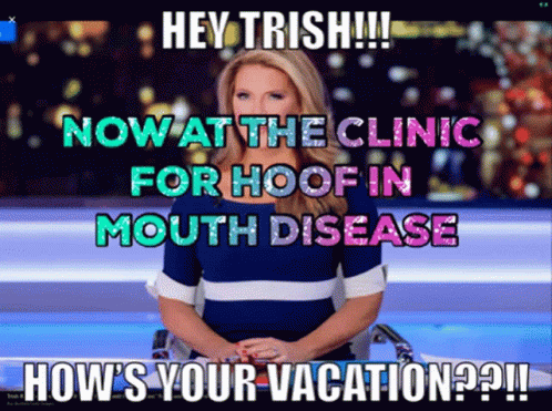 Trish Regan Hows Your Vacation GIF - Trish Regan Hows Your Vacation Now At The Clinic GIFs