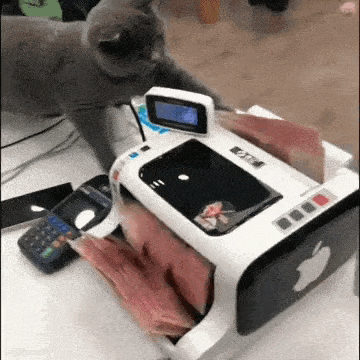 a cat is playing with a money counting machine that looks like an apple computer .